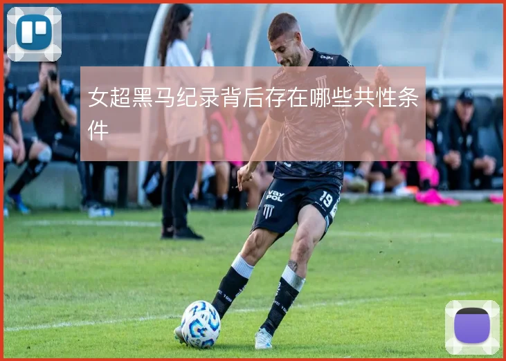女超黑马纪录背后存在哪些共性条件