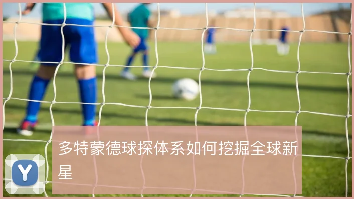 多特蒙德球探体系如何挖掘全球新星