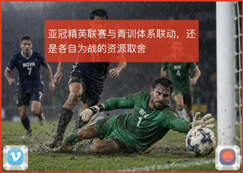亚冠精英联赛与青训体系联动,还是各自为战的资源取舍